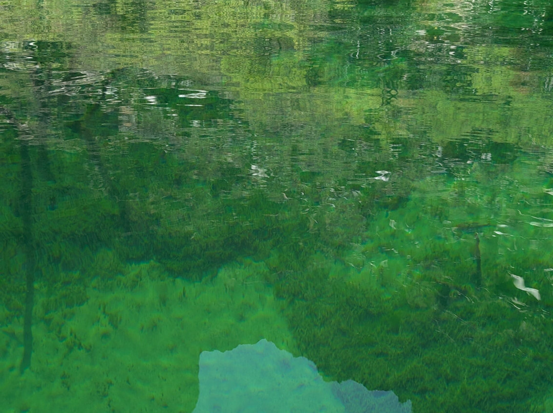 Willow Beach-Fort Mohave必去景点