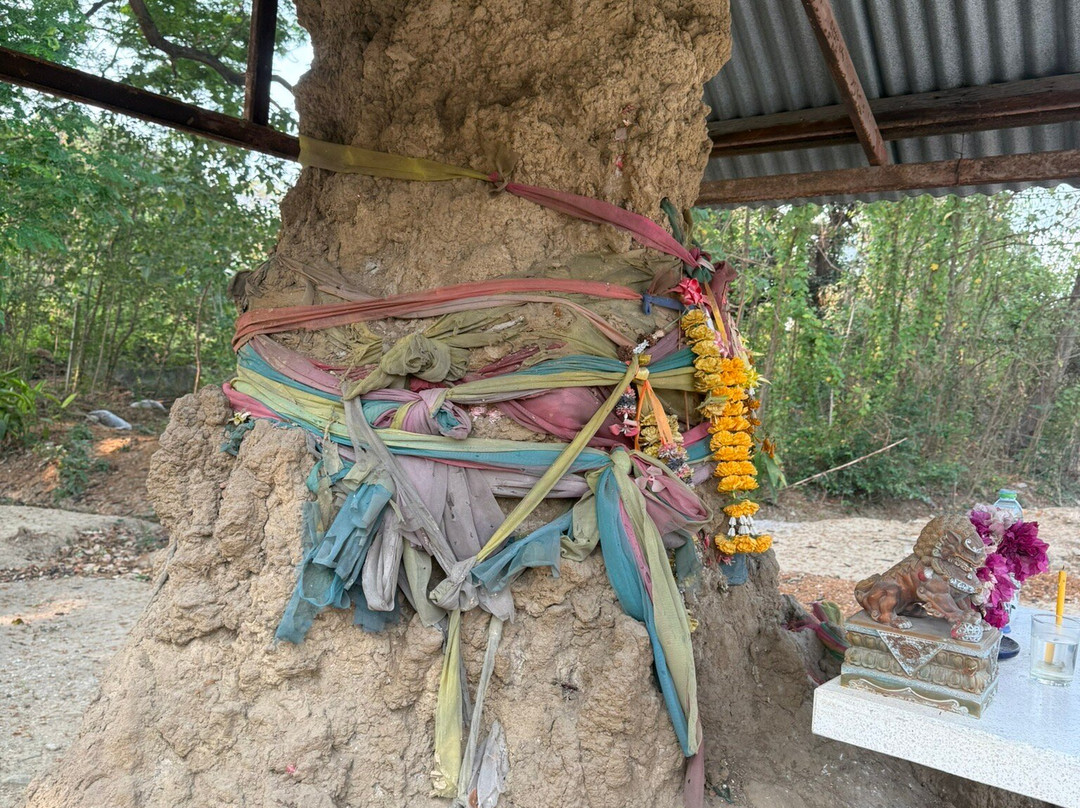 Guide Zonya Privilege Travels-曼谷必去景点