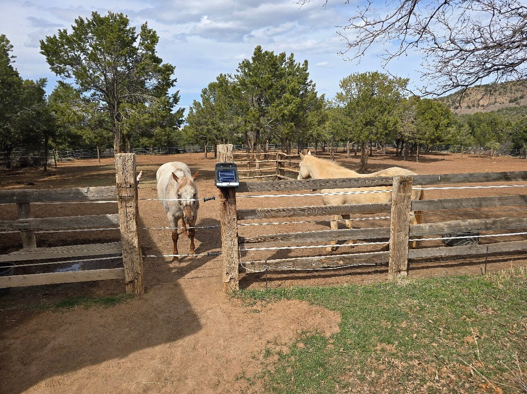 Double G Ranch主图