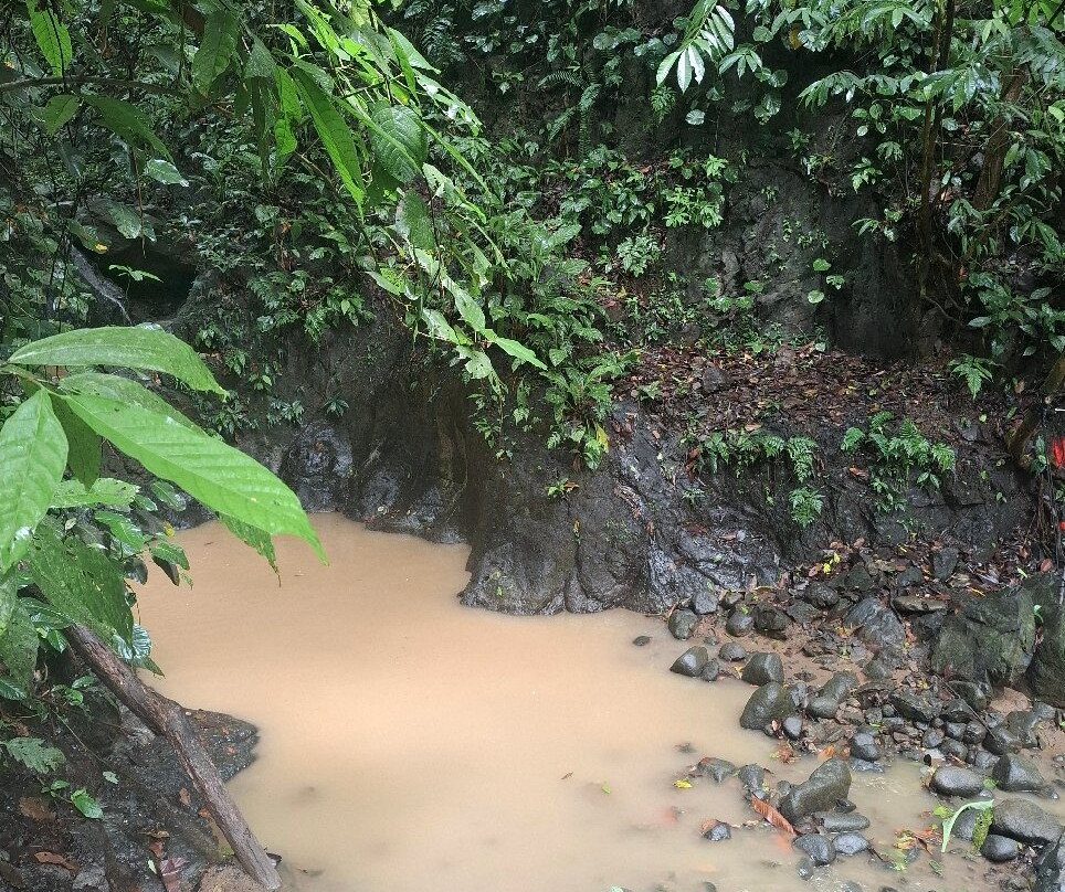 Catarata Uvita景点图片
