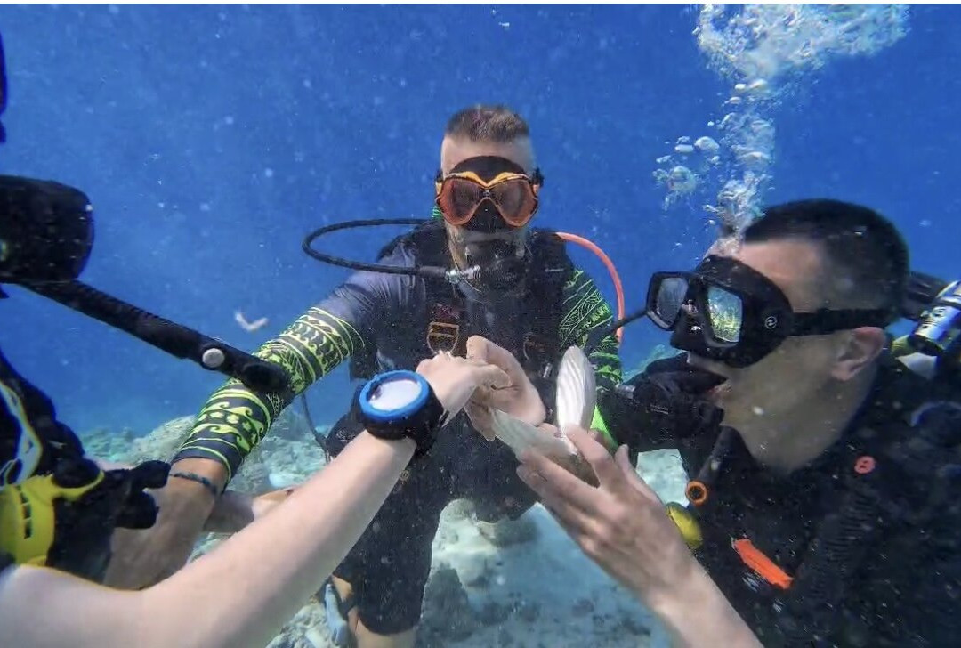 Euro-Divers Dhigali景点图片