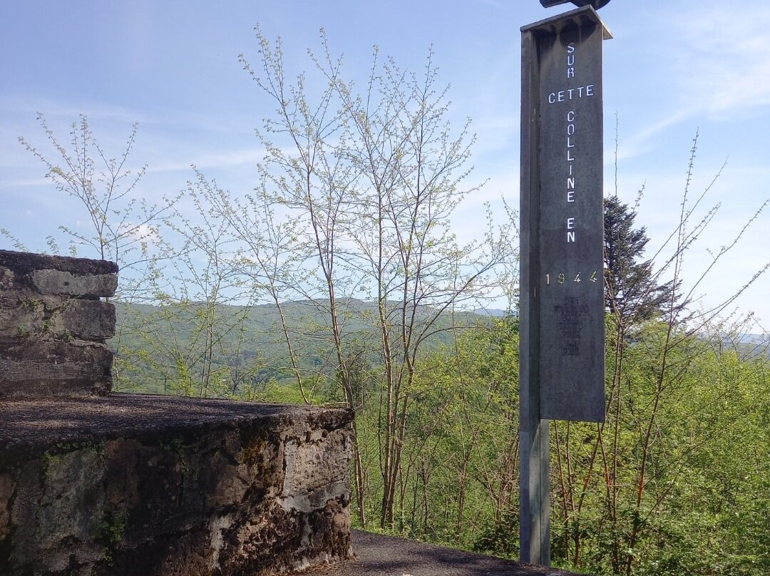 Chapelle Notre-Dame du Haut-朗香必去景点