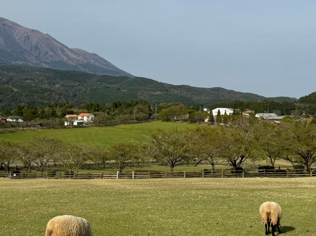 Takachiho Ranch-都城市必去景点