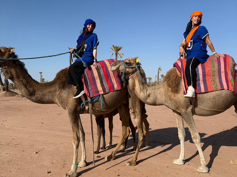 KARMA DIR TRAVEL-马拉喀什必去景点