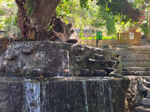 Focus Tours-厄吕代尼兹必去景点