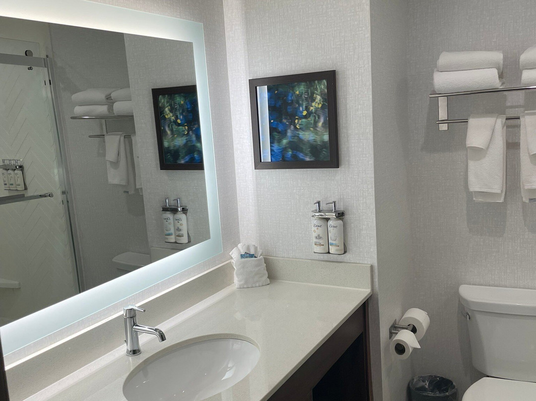 Holiday Inn & Suites Pigeon Forge Convention Center By IHG主图