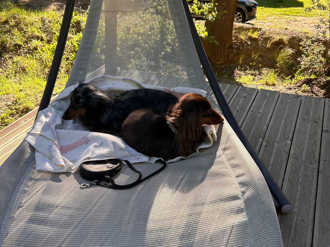 Les Perles Catalanes主图