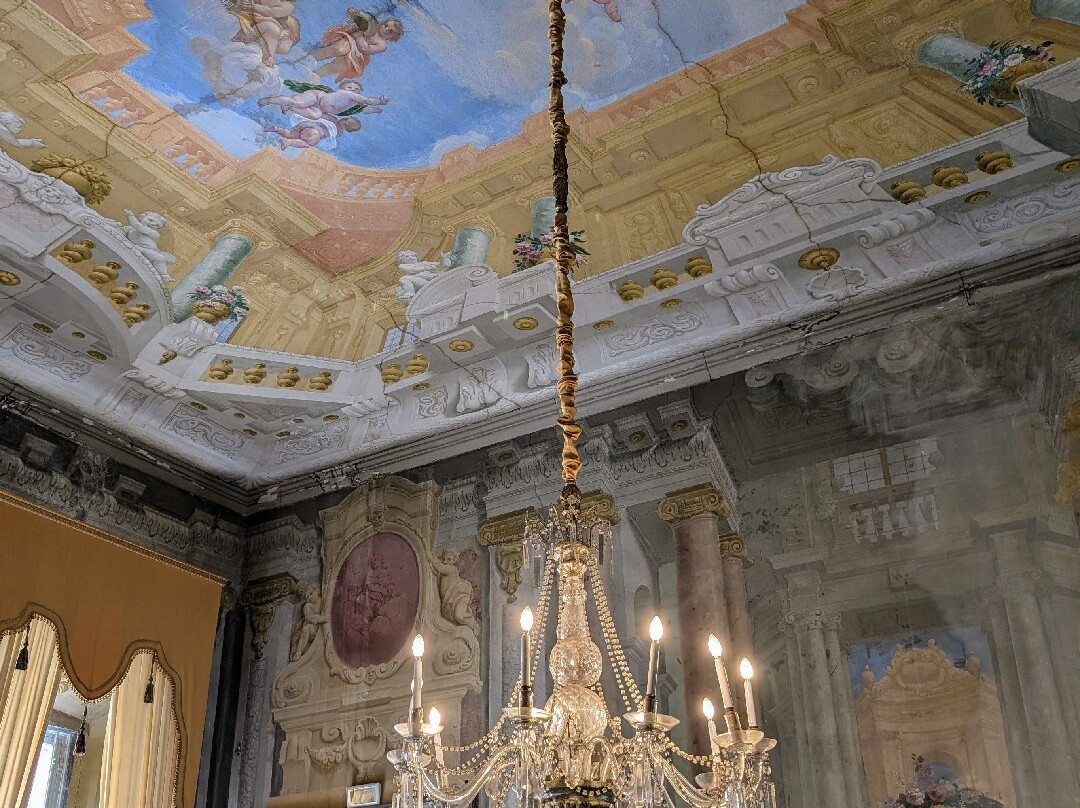 Palazzo Pfanner景点图片