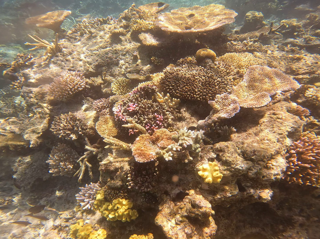 Ocean Ventures Fiji景点图片