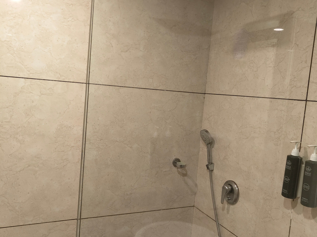 Renest Gandhidham主图