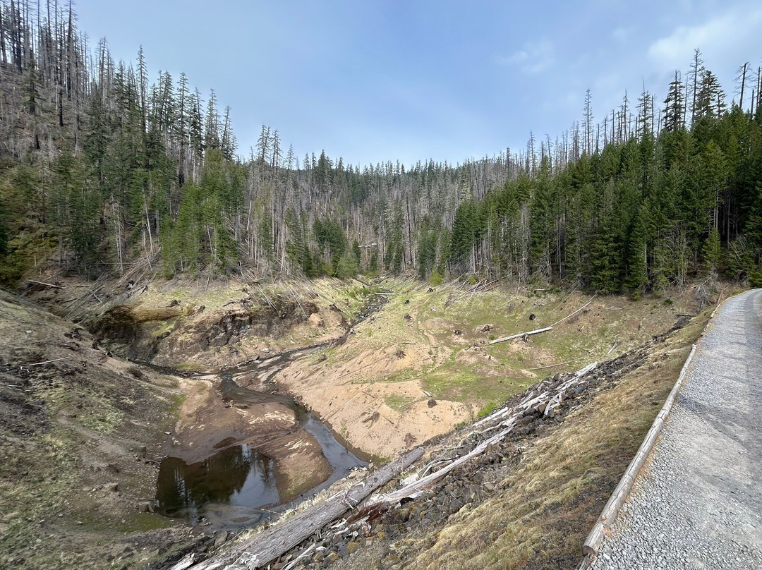 Terwilliger Hot Springs-Blue River必去景点