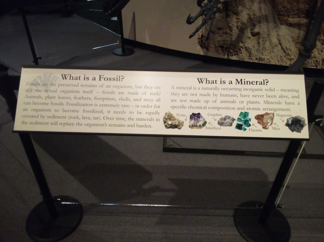 The Journey Museum-拉皮德城必去景点