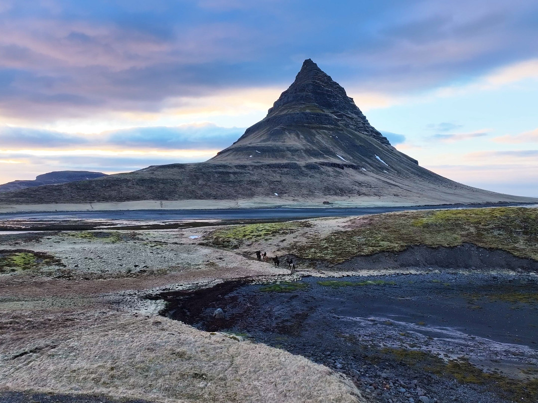 Kirkjufell Horse Center-格伦达菲厄泽必去景点