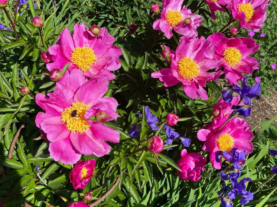 West Acre Gardens-West Acre必去景点