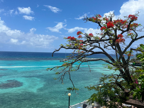 Discover Jamaica by Bike-金斯敦必去景点