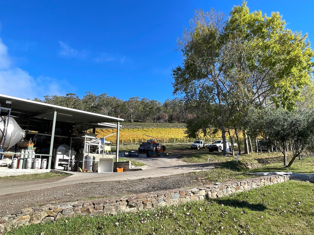 Freycinet Vineyards景点图片