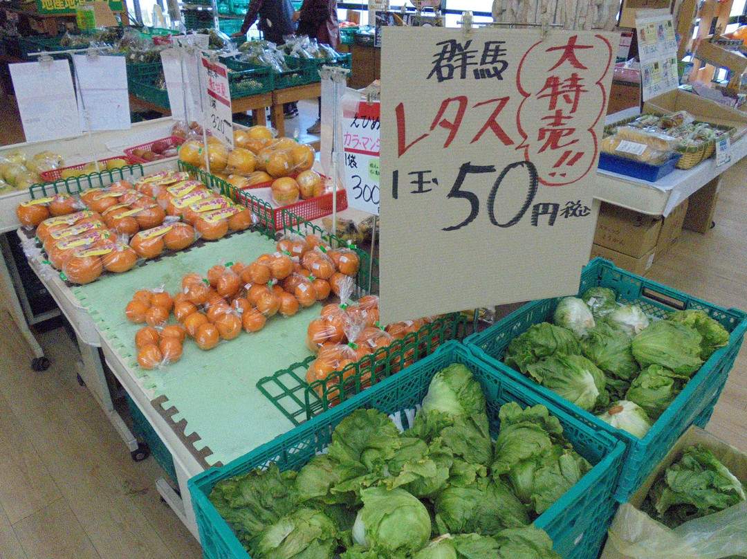Todagawa Ryokuchi-名古屋市必去景点