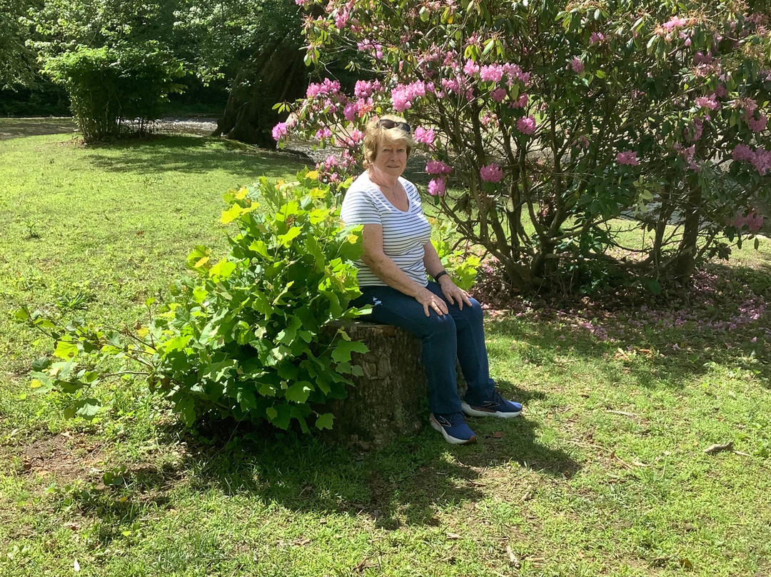 Oconaluftee Islands Park-切罗基必去景点