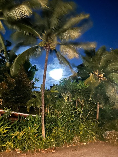 加勒比海湾度假村-官方