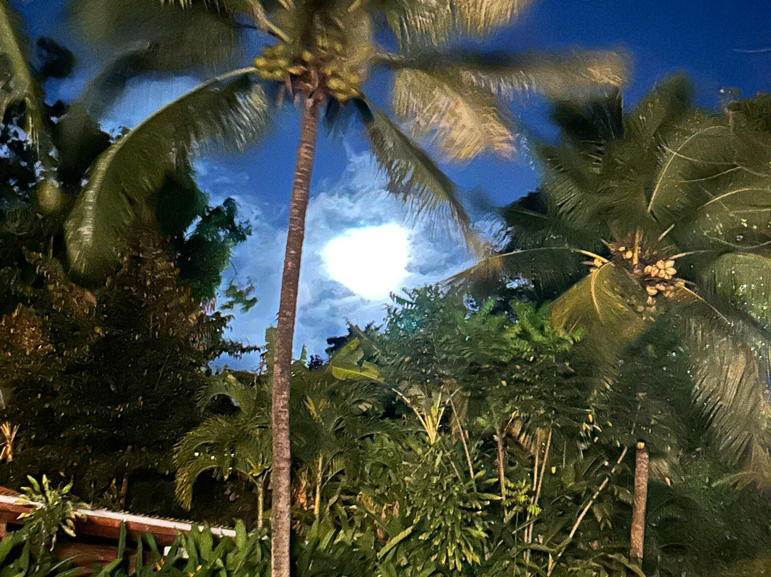 Caraïb' Bay Hotel主图