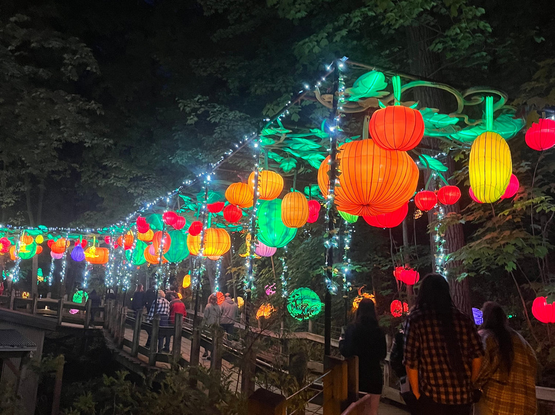 John Ball Zoo-大急流市必去景点