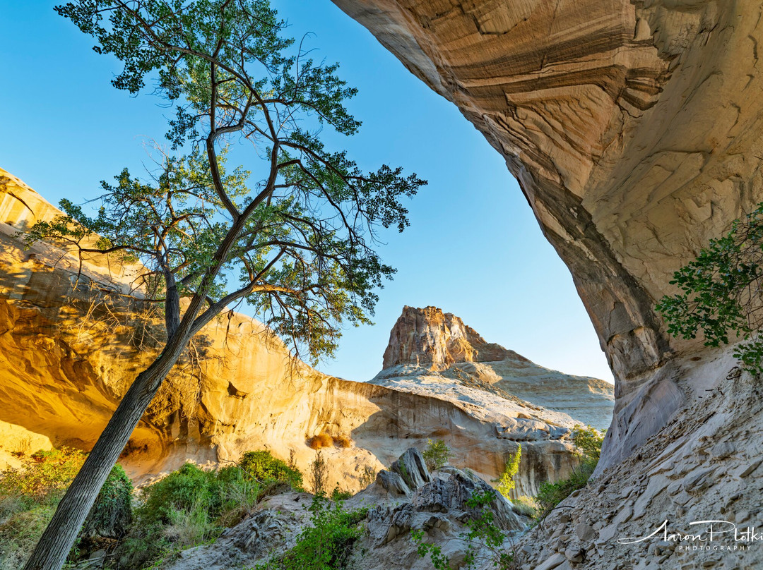Action Photo Tours-卡纳布必去景点