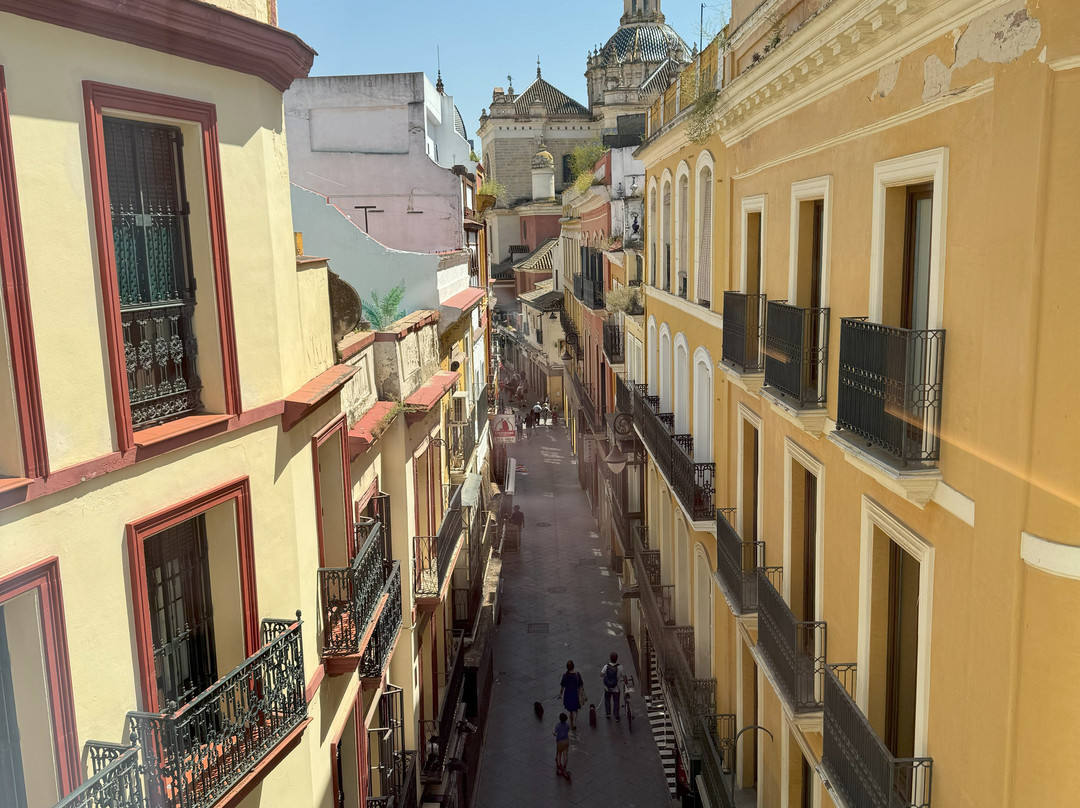 H10 Casa de la Plata主图