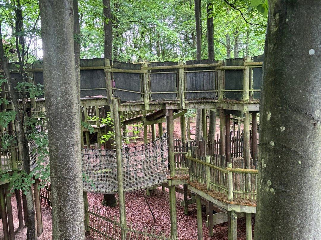 Bewilderwood Norfolk景点图片