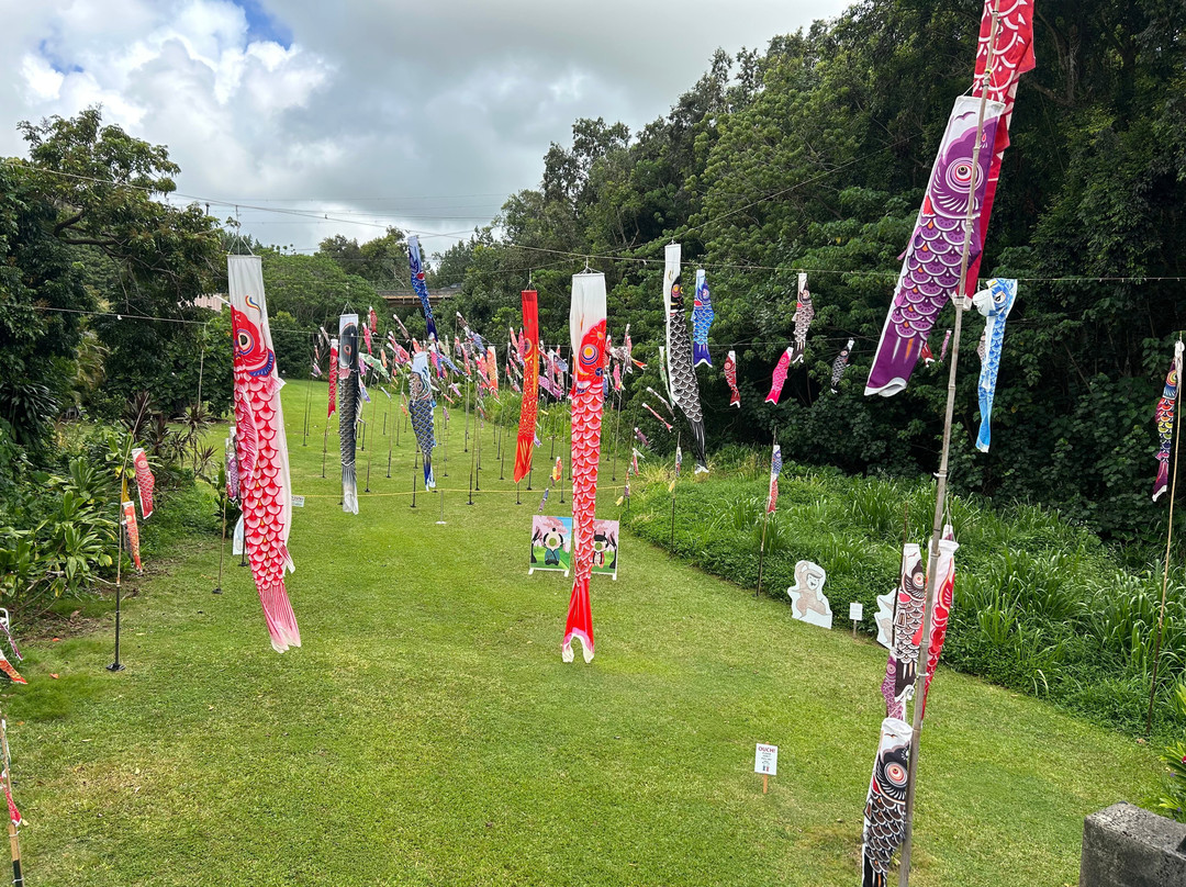Kapaia Suspension Bridge-利胡埃必去景点