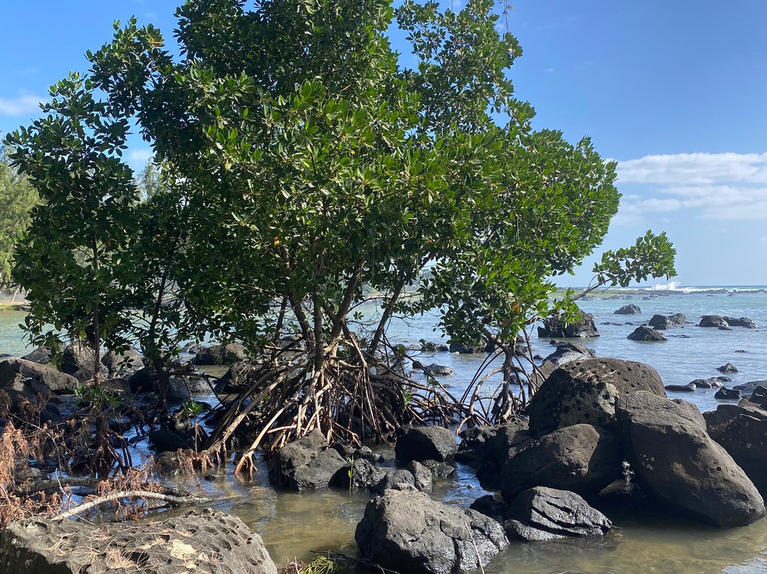 Pointe aux Piments Public Beach景点图片