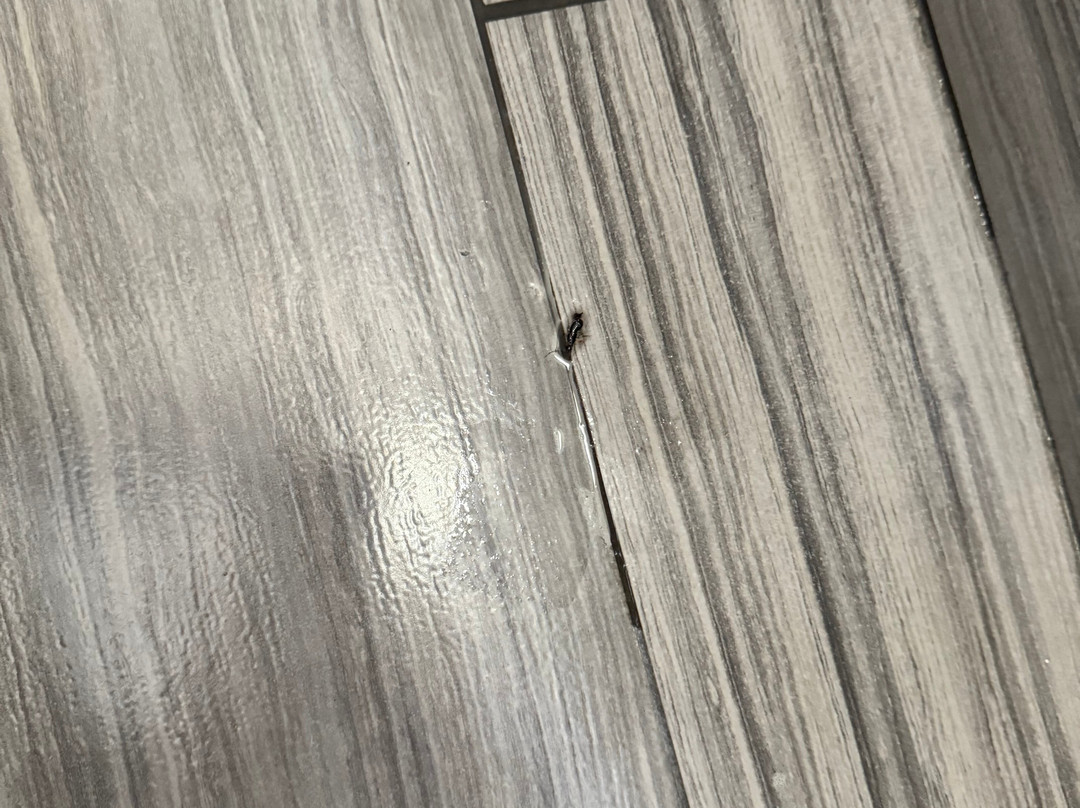 Days Inn Chowchilla Gateway to Yosemite主图