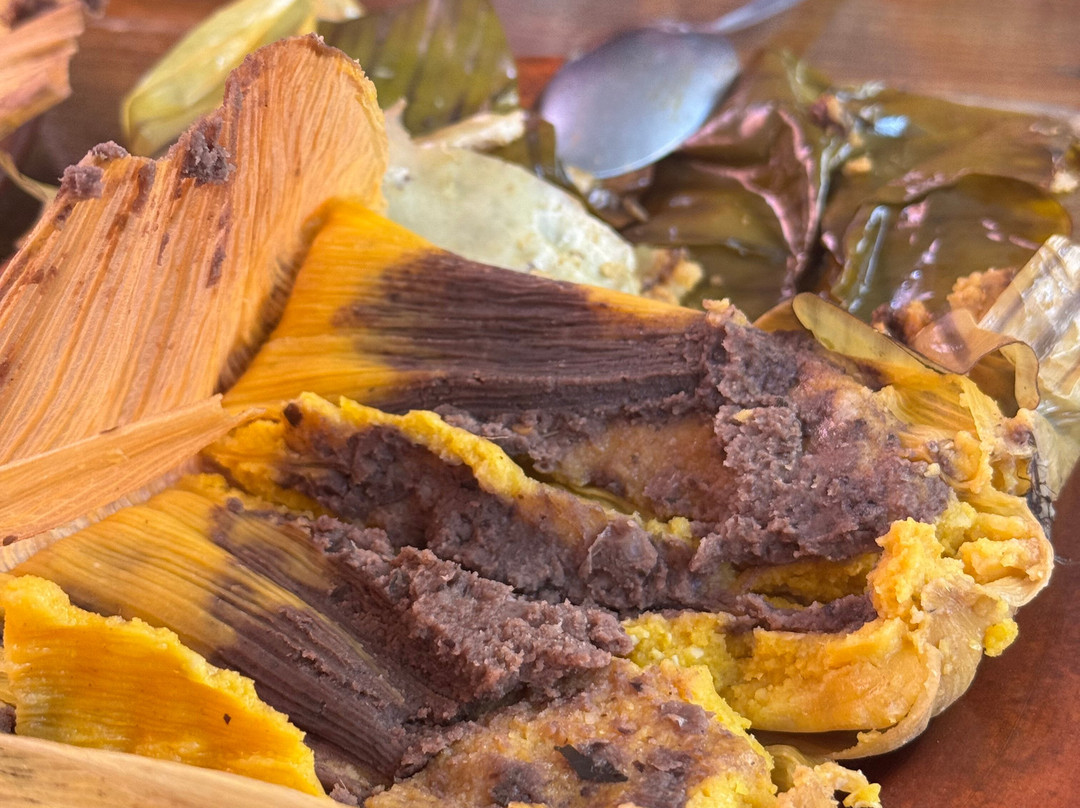 Discover Oaxaca Tours-瓦哈卡必去景点