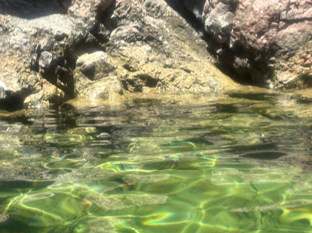 Desert Wonder Tours, LLC-金曼必去景点