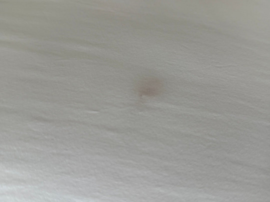 Holiday Inn Express & Suites Greenville - Taylors by IHG主图