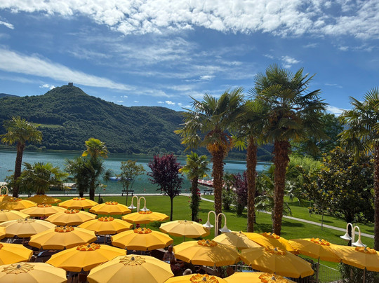 Hotel Seegarten主图