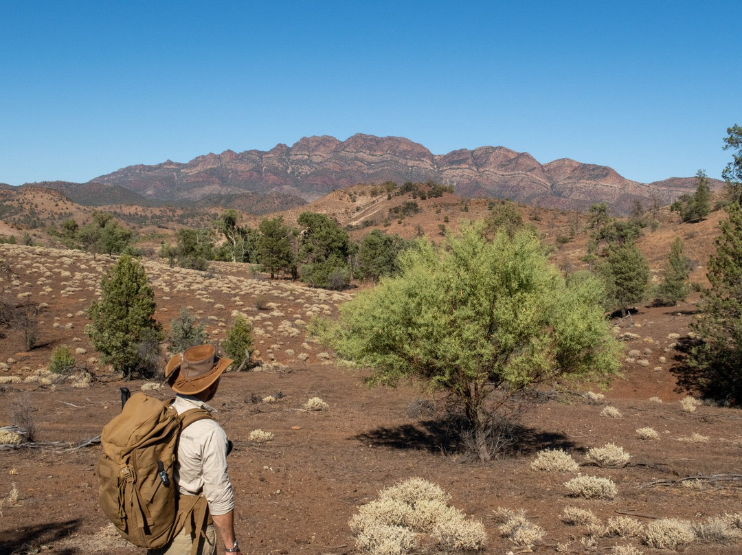 阿卡巴站酒店主图