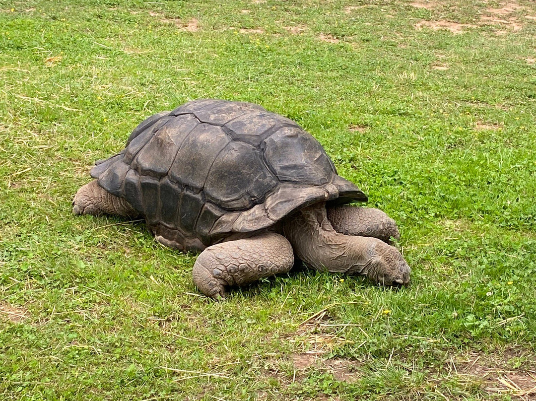 Leesburg Animal Park景点图片