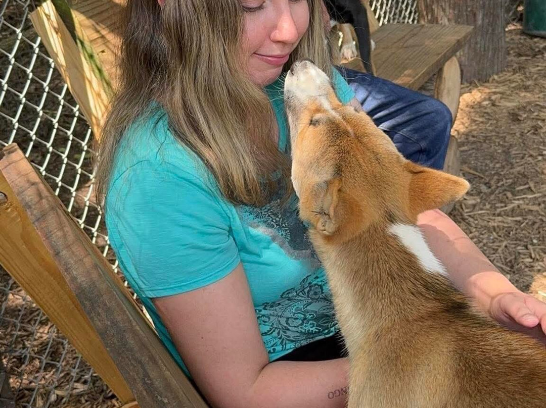 Wild Animal Adventure-斯坦顿必去景点