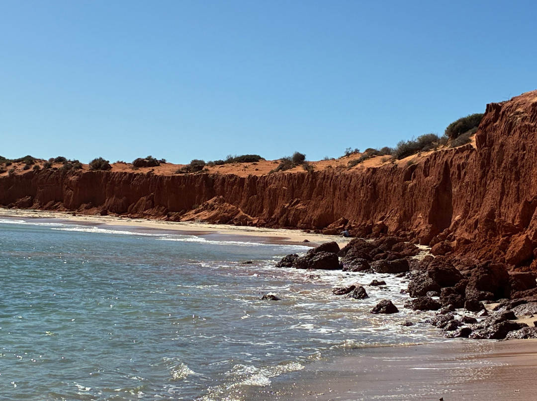 Shark Bay 4WD-德纳姆必去景点
