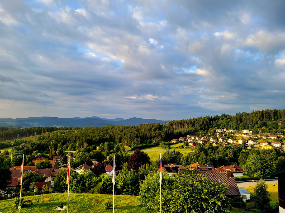 Hotel Bavaria Zwiesel主图