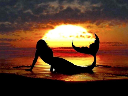 Take a hike Oahu-珍珠市必去景点