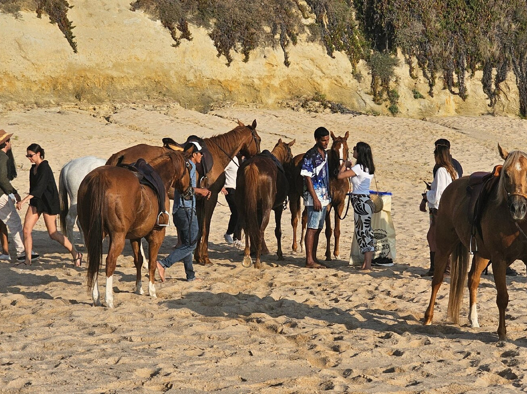 Cavalos Na Praia Do Meco - Lits Horses-Aldeia do Meco必去景点