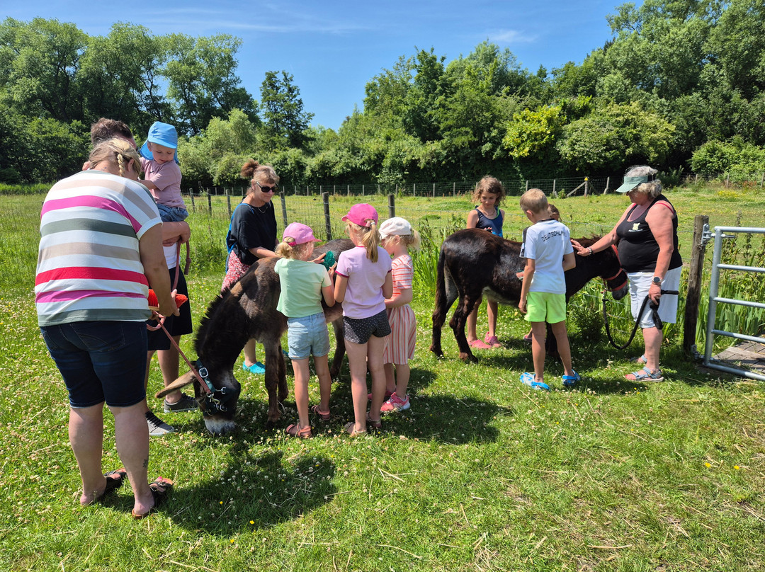 Alpaca Farm-Oostduinkerke-Bad必去景点
