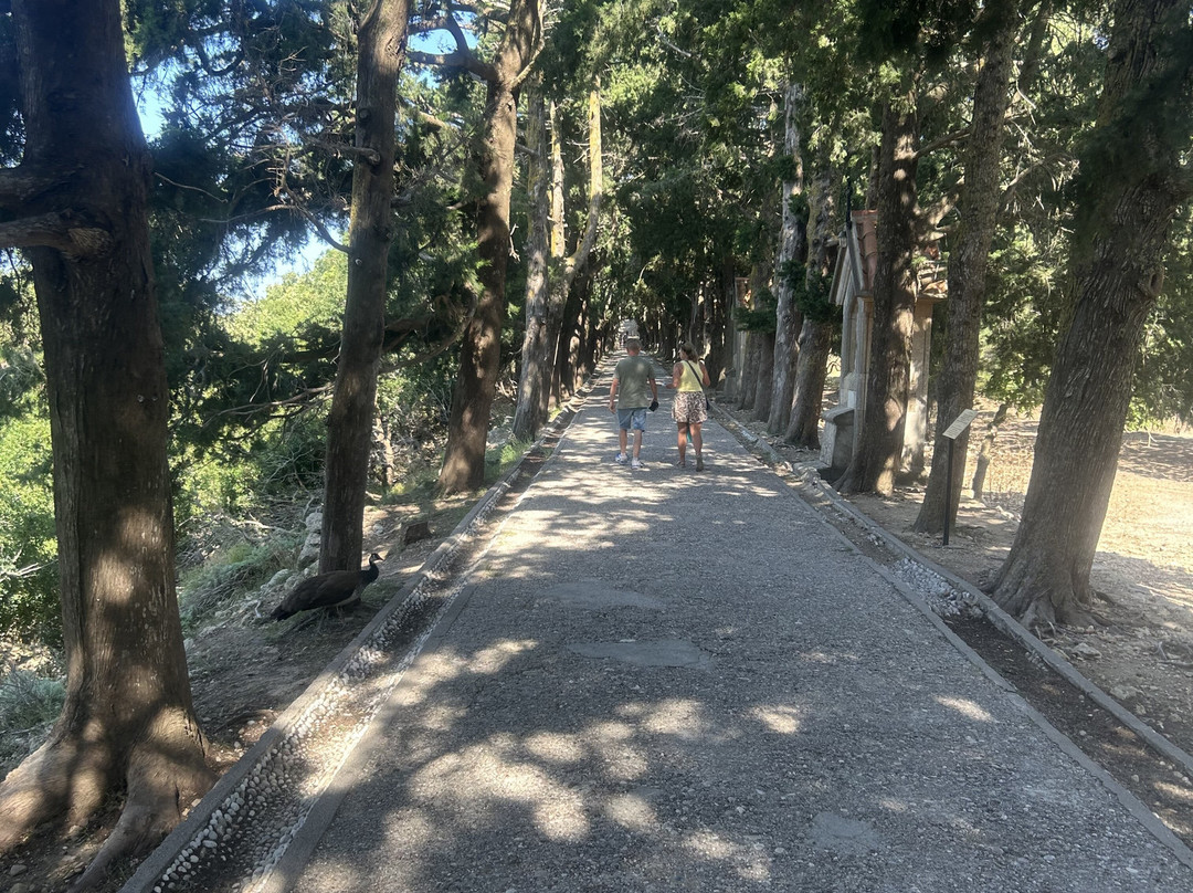 Sigma Travel-罗德斯必去景点