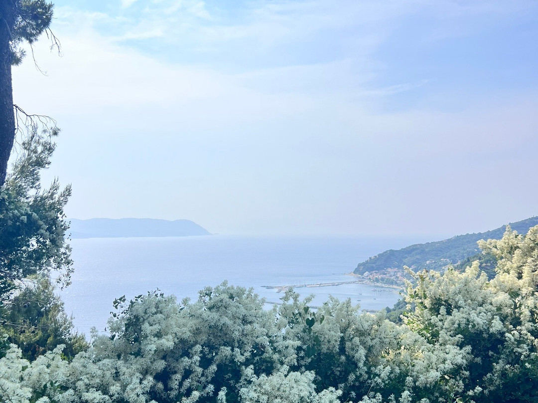 Skopelos Taxi & Tour Services - Zahos Stamoulis景点图片