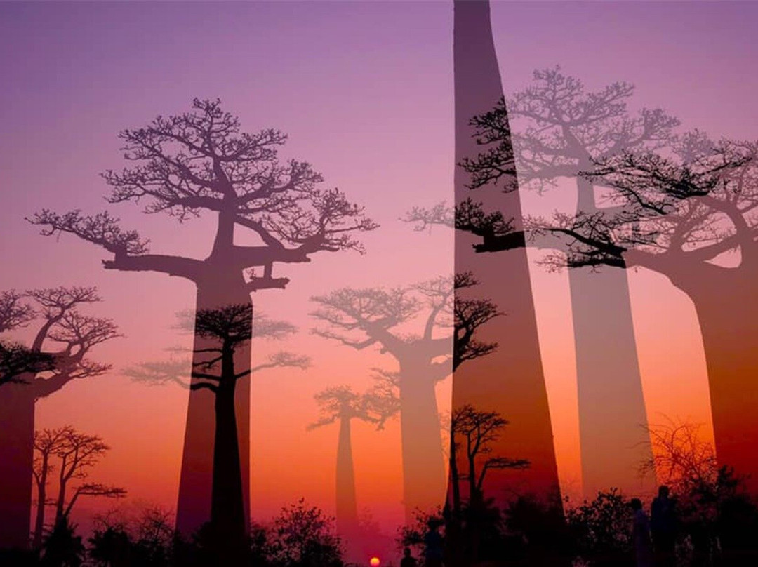 Madagascar Treasure Visit Tour