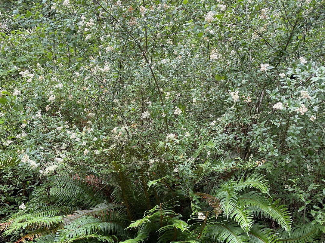 Tacoma Nature Center-塔科马必去景点