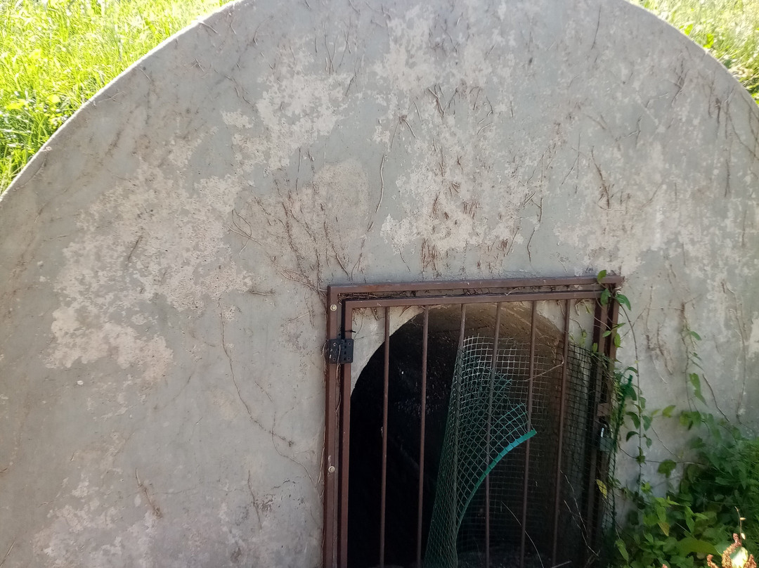 Ex Jiutificio Camerini