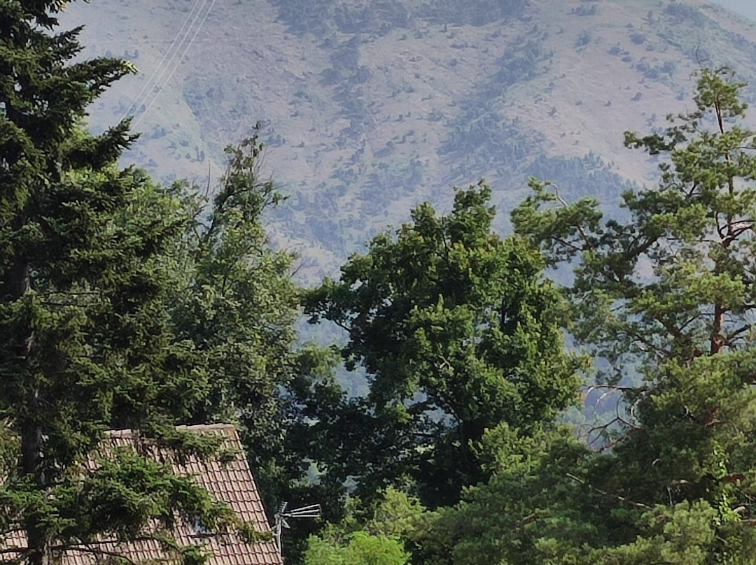 B&B Caterina.c主图