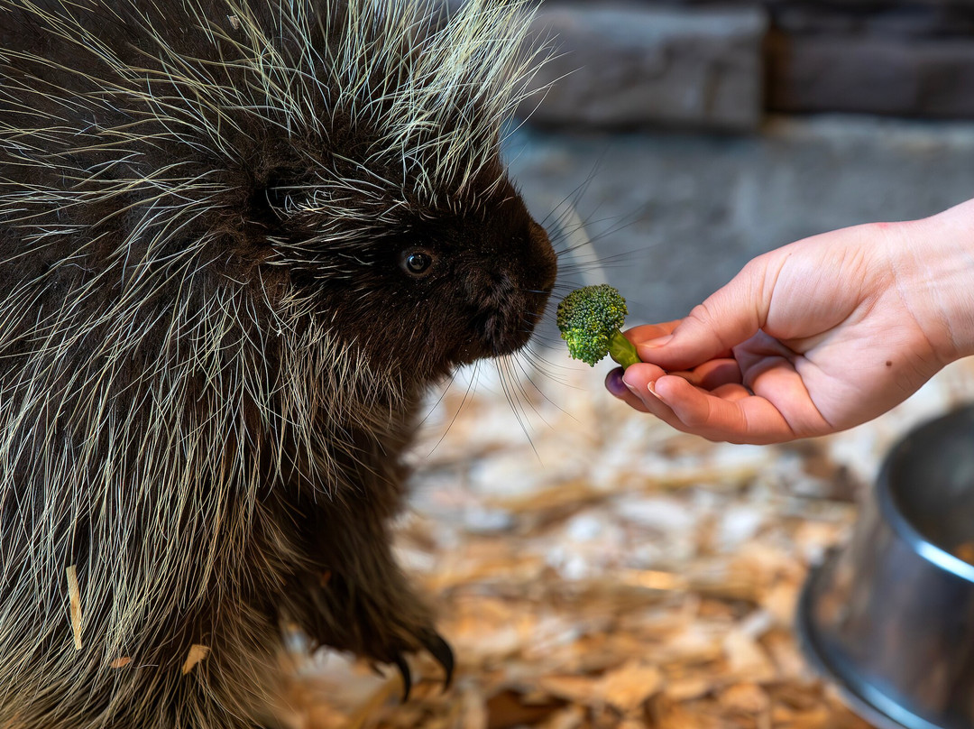 Virginia Living Museum-纽波特纽斯必去景点
